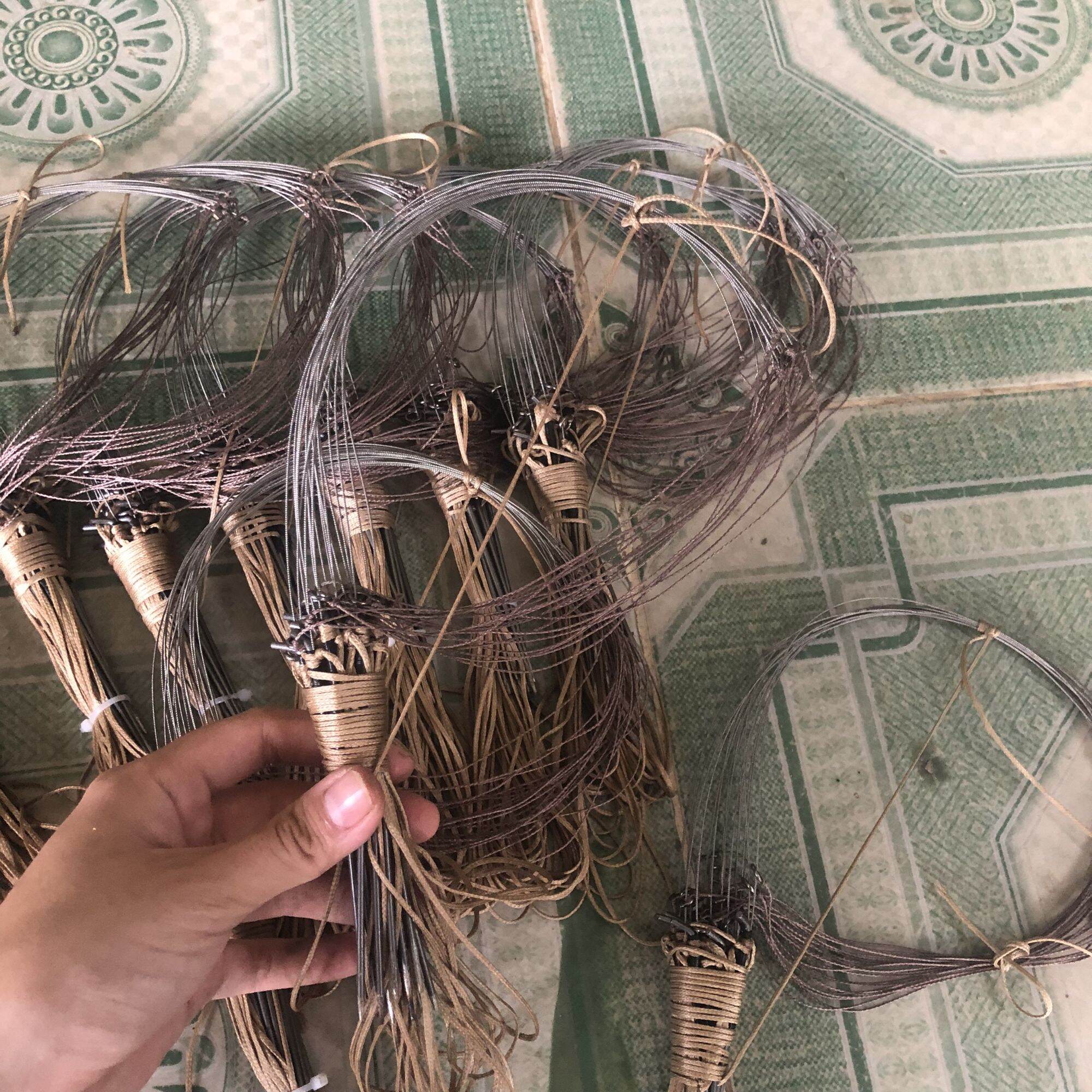 Giò bẫy gà rừng chân thép