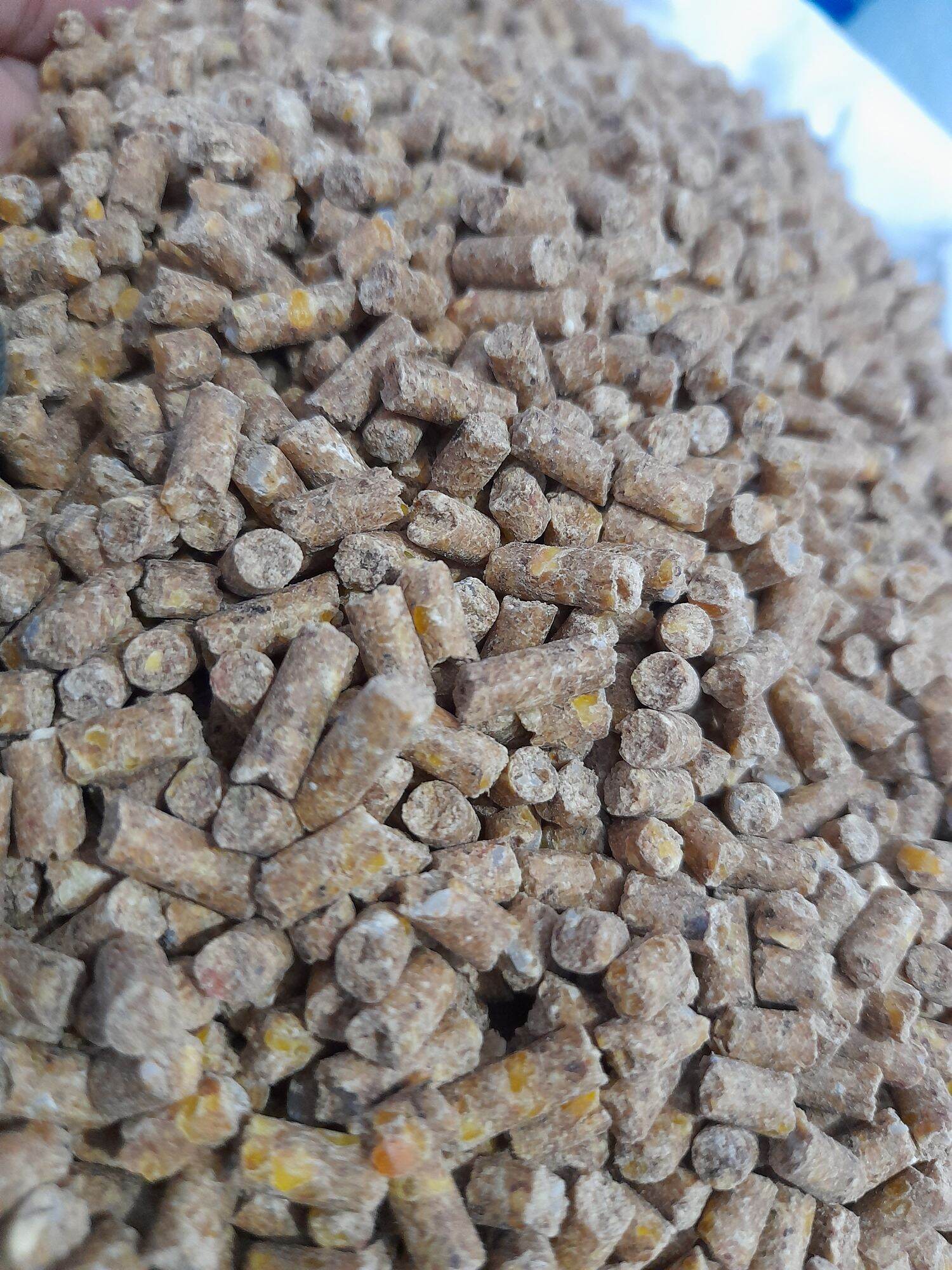 Cám gà đẻ 1kg
