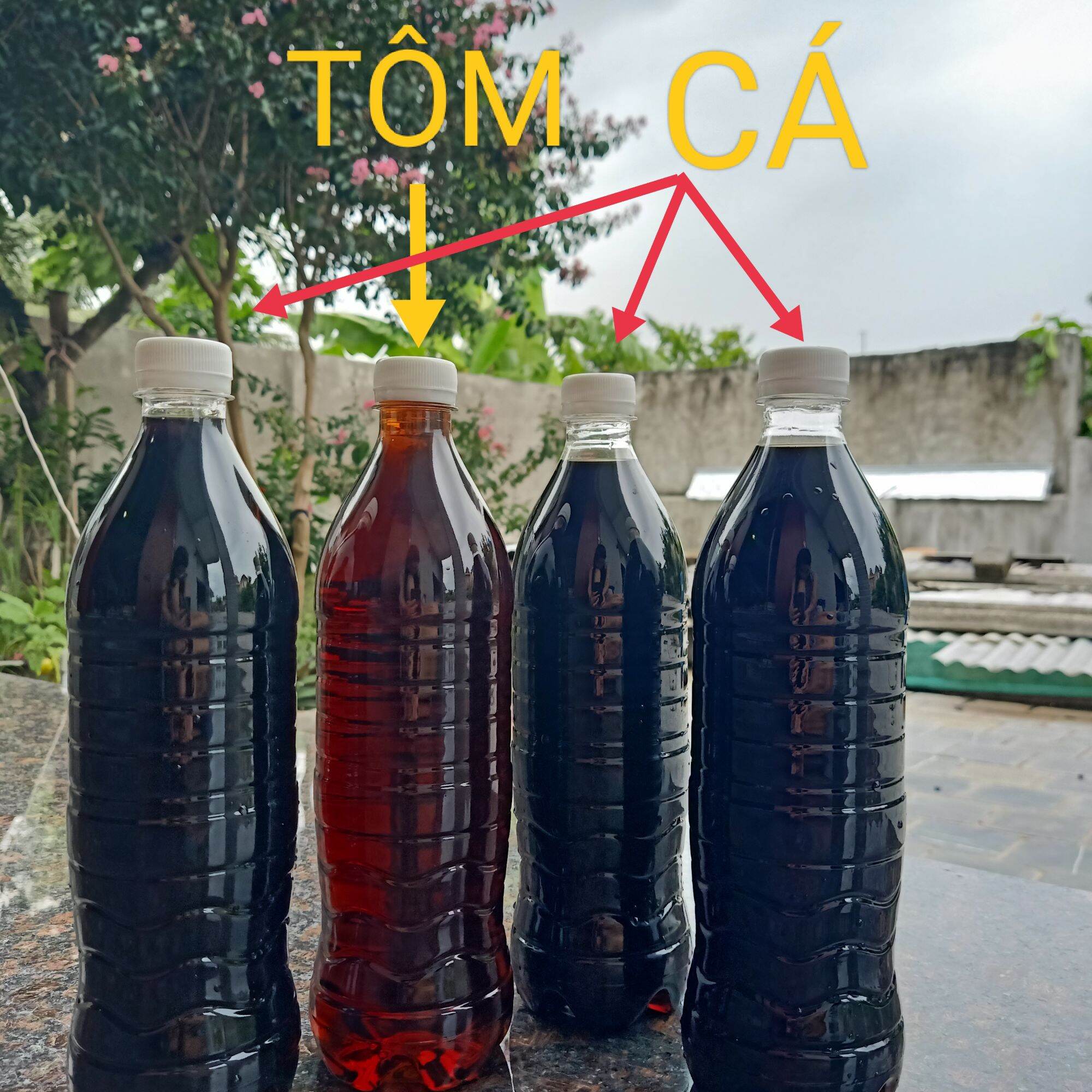 1 lít NƯỚC MẮM CÁ CƠM loại ĐẶC BIỆT - đặc sản SA CHÂU