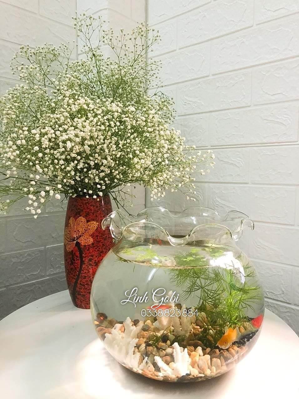 Bể thả cá thủy tinh miệng bèo/ bể cá mini để bàn