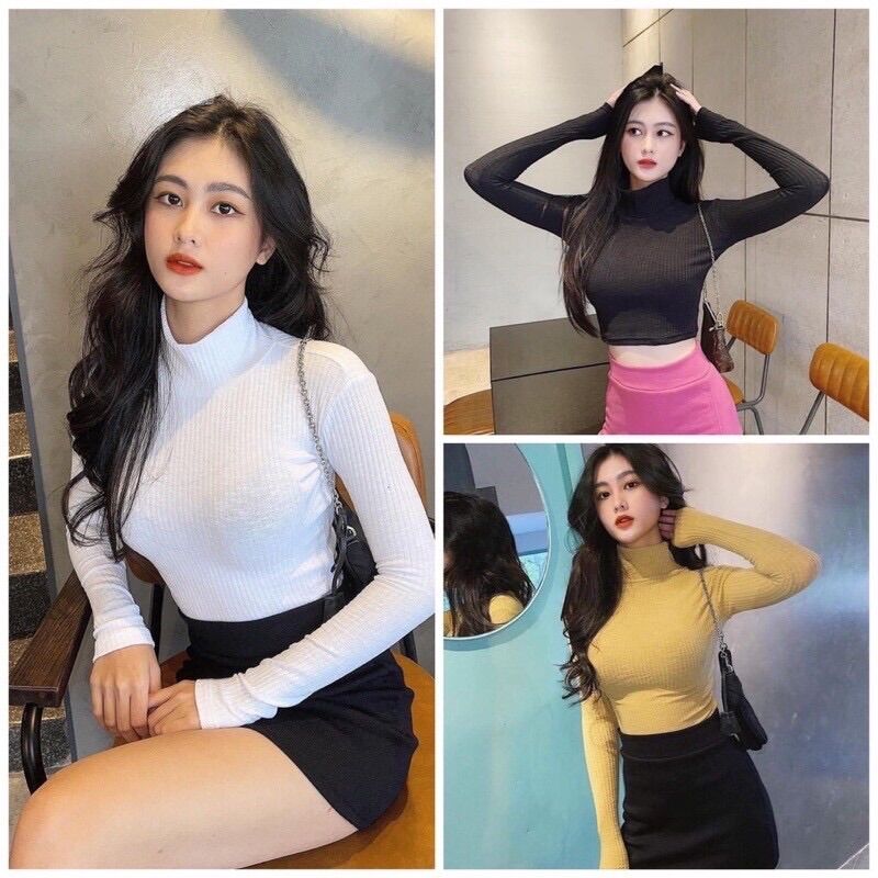 Áo cổ lọ tay dài croptop