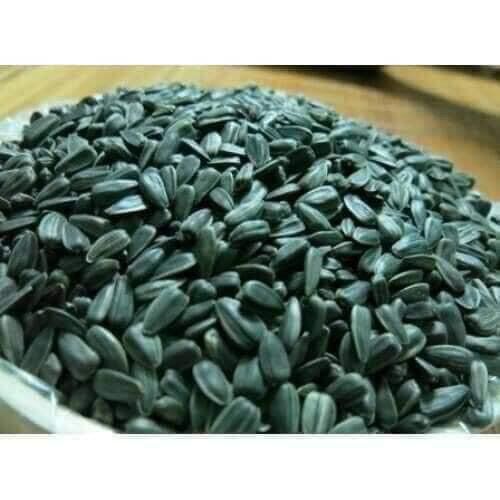 Hạt hướng dương con vịt 100g Nga