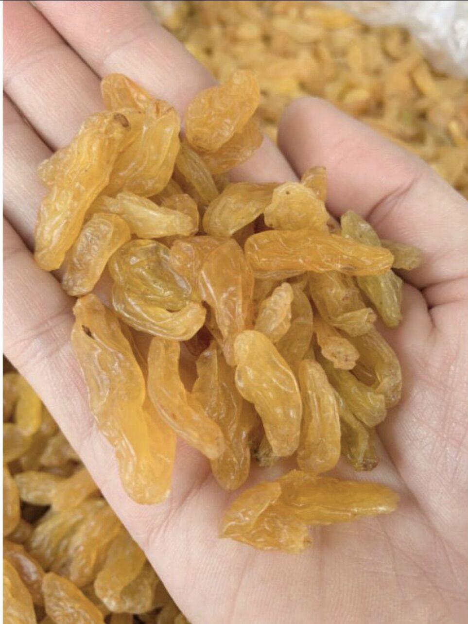 1kg Nho khô Ấn Độ vàng đẹp ngon ngon