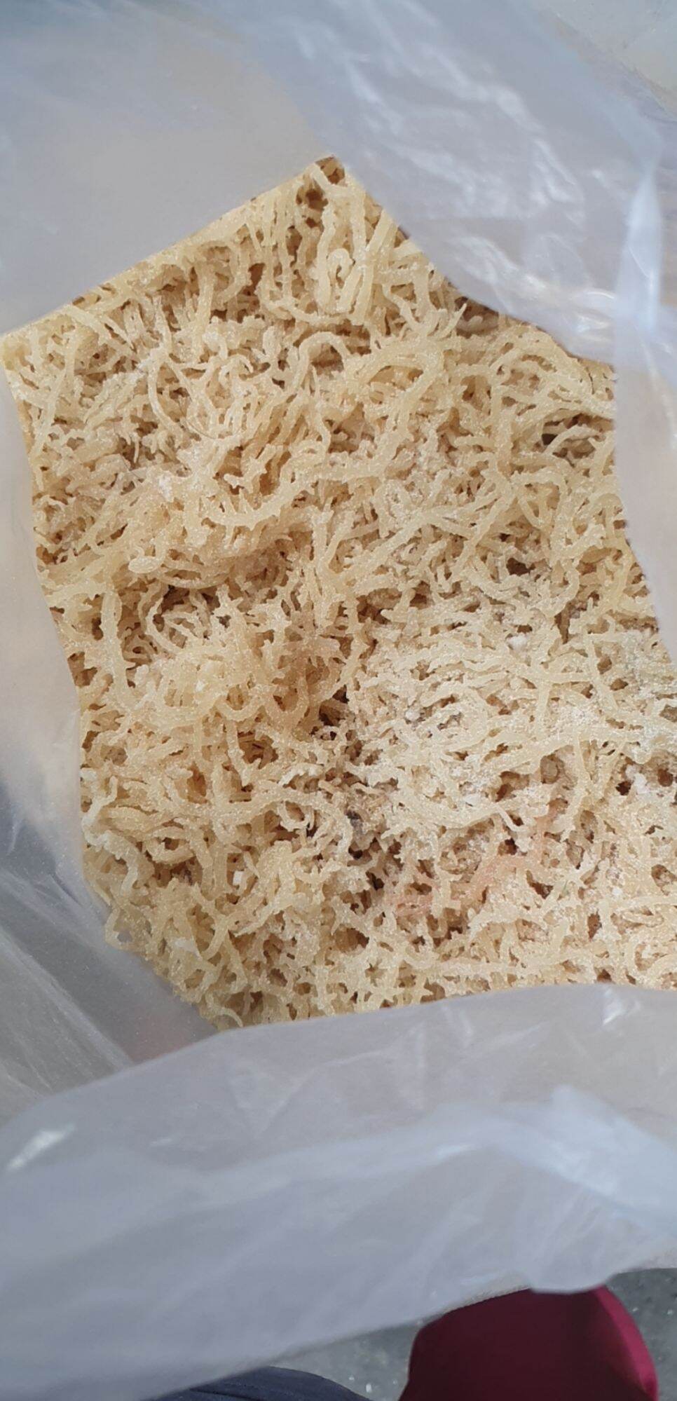 Rong sụn trắng- rong chân vịt Nha trang nấu chè sâm bổ lượng 500gram