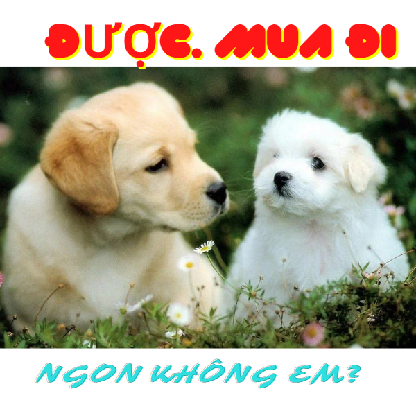 Thức ăn cho chó - Fib’s - 400G