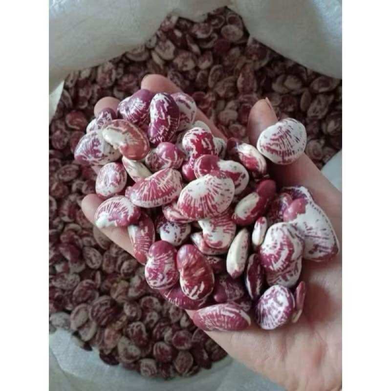 Đậu ngự nấu chè 300g, hạt đỏ trắng, dùng nấu chè, nguyên liệu nấu ăn.