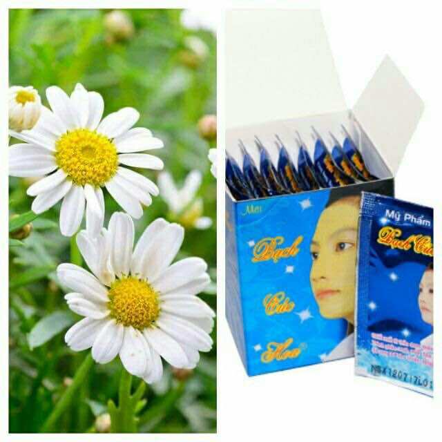 Mặt nạ cúc hoa 10g