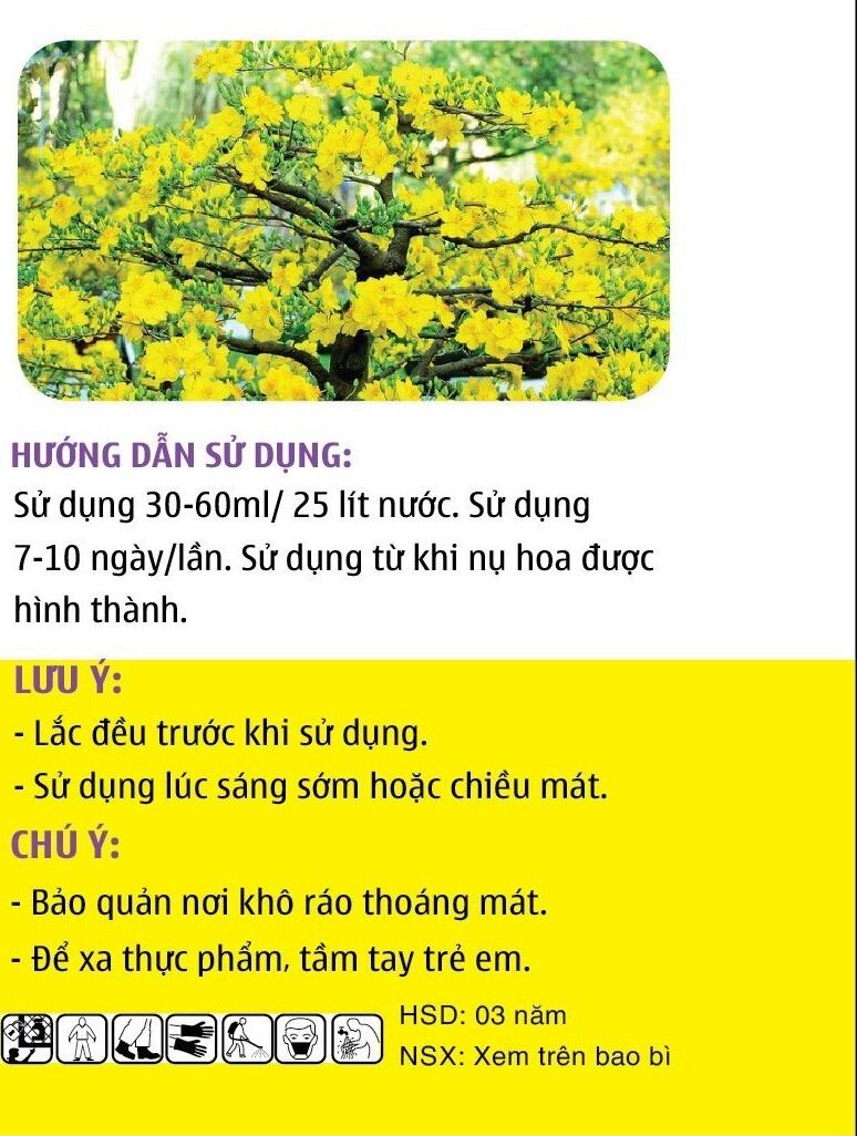PHÂN BÓN MAX FRUIT - DƯỠNG NỤ MAI VÀNG. CHAI 500ML