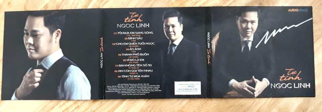 ca sĩ Ngọc Linh