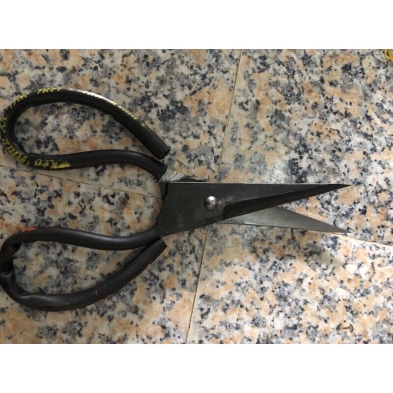Kéo làm cá chất liệu nhíp xe ô tô