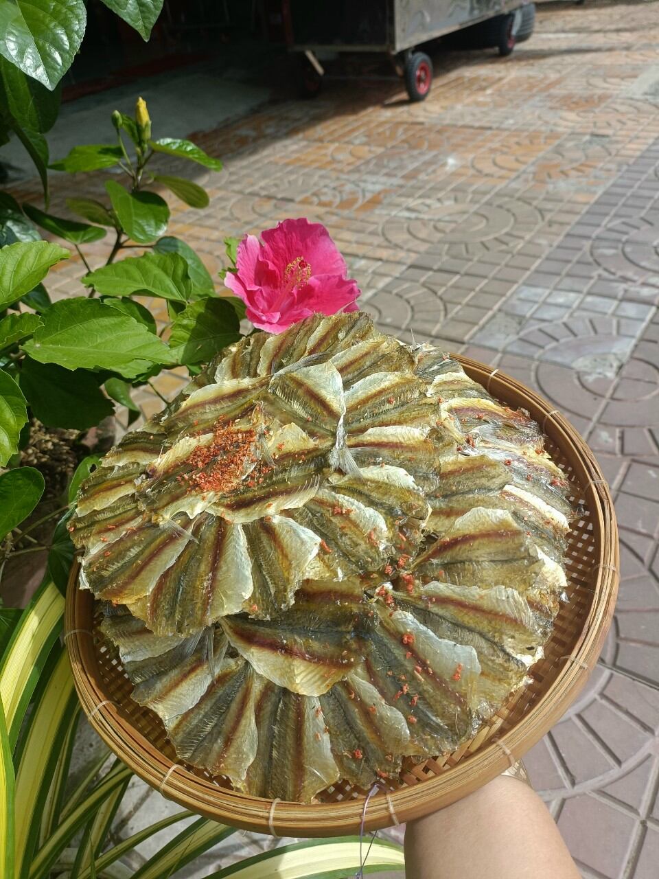 Giá Sỉ khô cá chỉ Vàng
