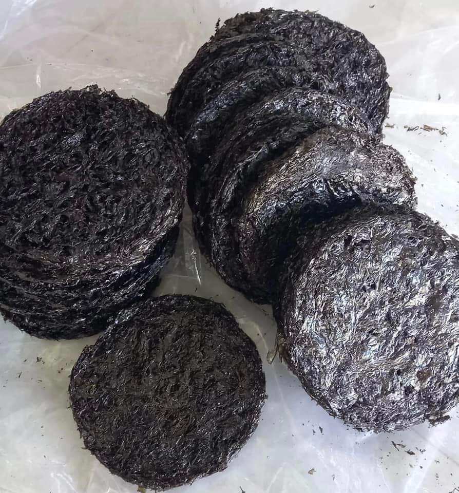 Rong biển sấy khô bịch 100g