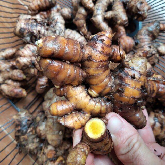 Củ Nghệ vàng tươi. 