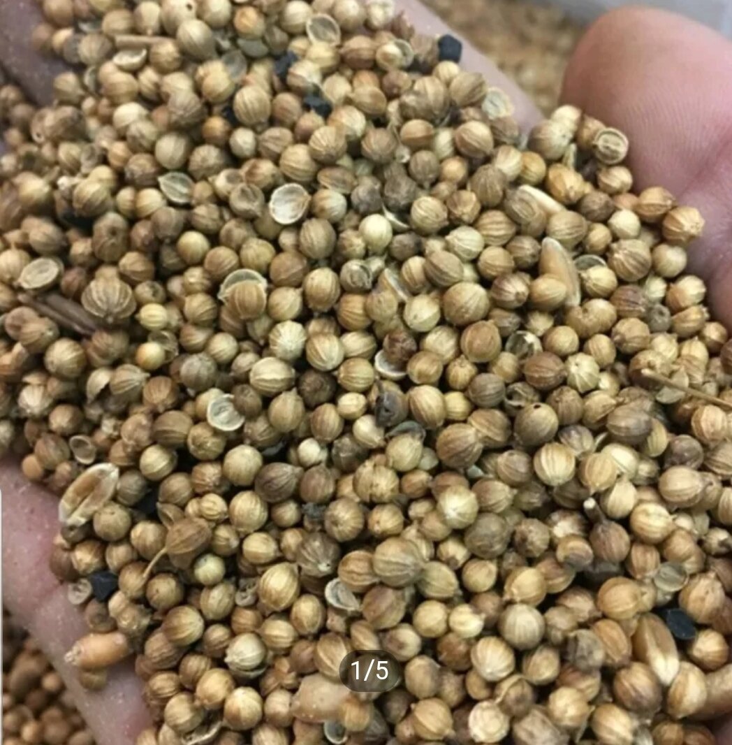 100g hạt mùi (ngò) khô loại ta giống cũ thơm