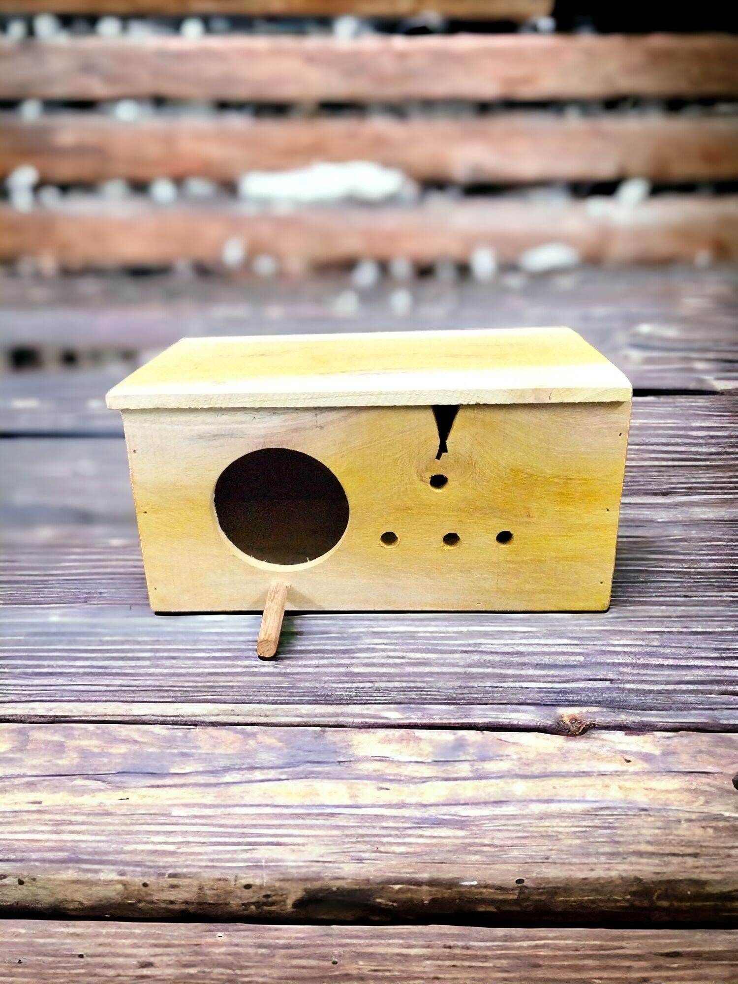 Tổ đẻ chim yến phụng và các loài chim cùng kích thước gỗ thô để mộc