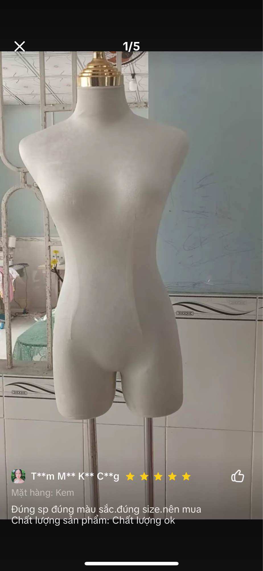 Manocanh nhung nữ đầu mạ vàng size S