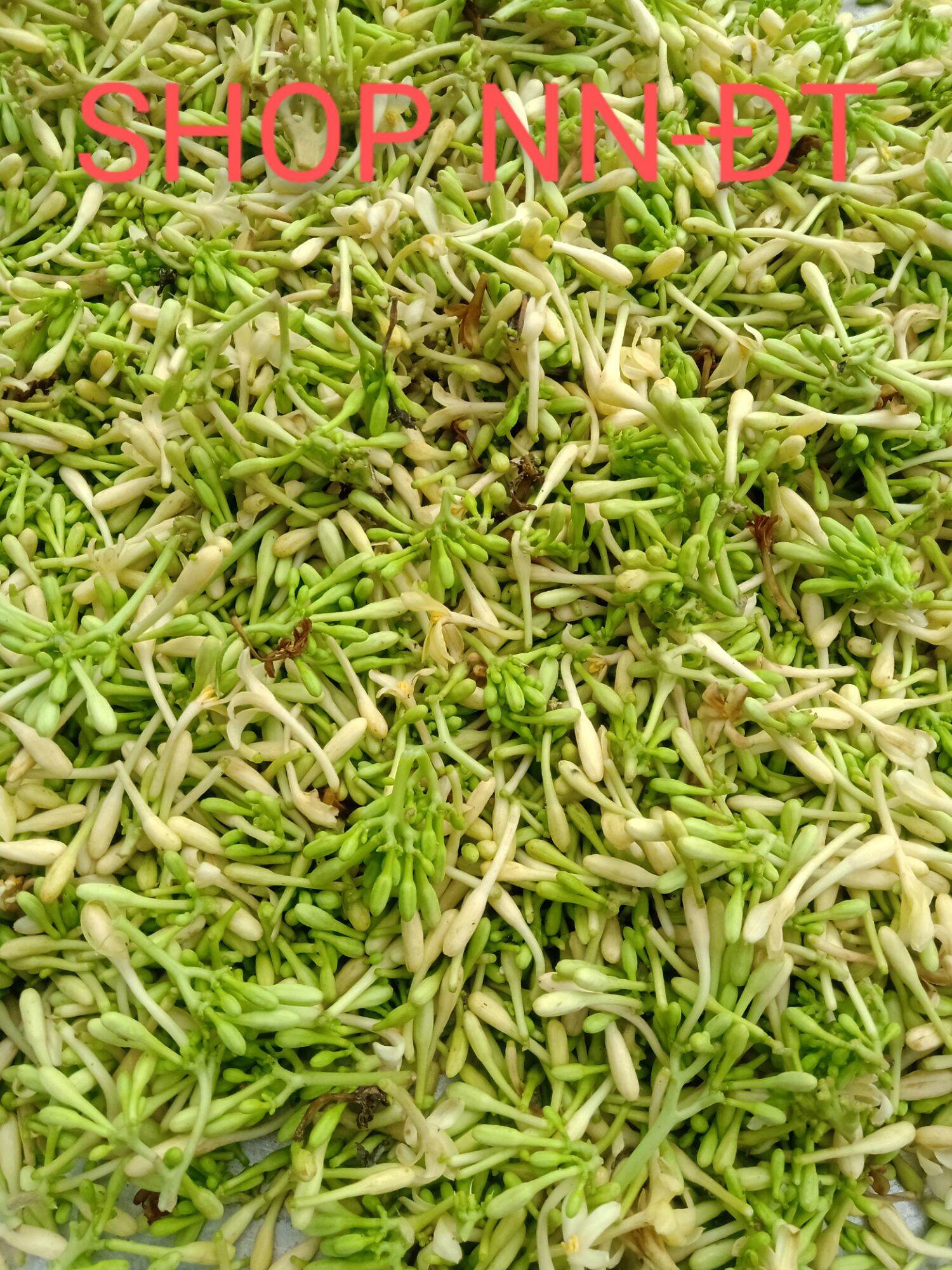 Hoa Đu Đủ Đực Khô 200gr