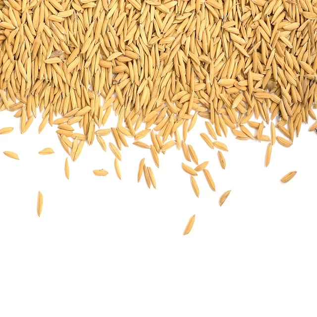 Hạt giống lúa nếp cái hoa vàng túi 1kg