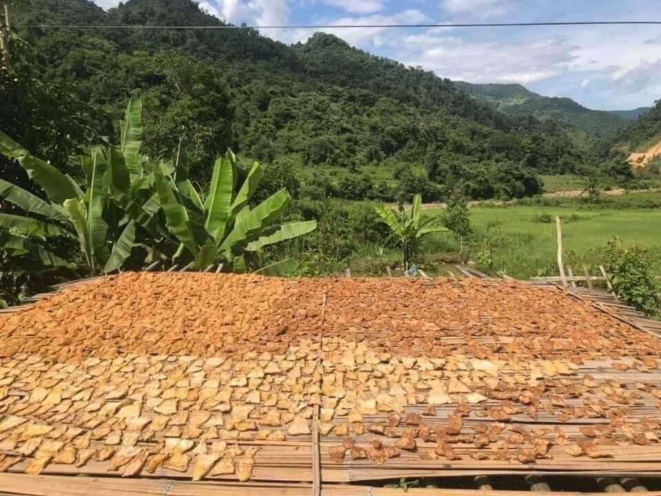 Măng Lưỡi Lợn Khô 1Kg