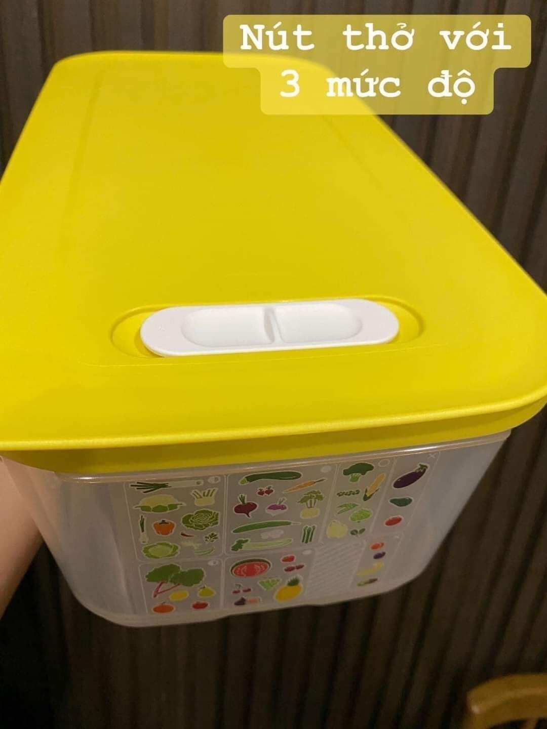 Hộp trữ mát có nút hô hấp 6.1L Ventsmart