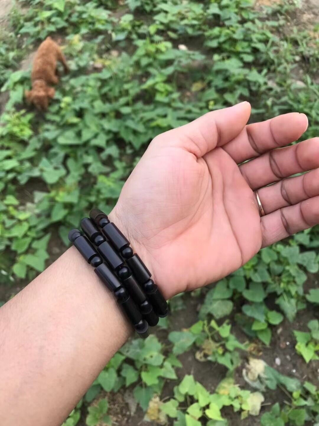 Vòng gỗ mun sừng đốt trúc