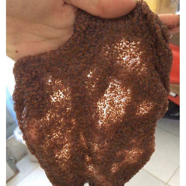 Mặt nạ ngũ hoa hạt
