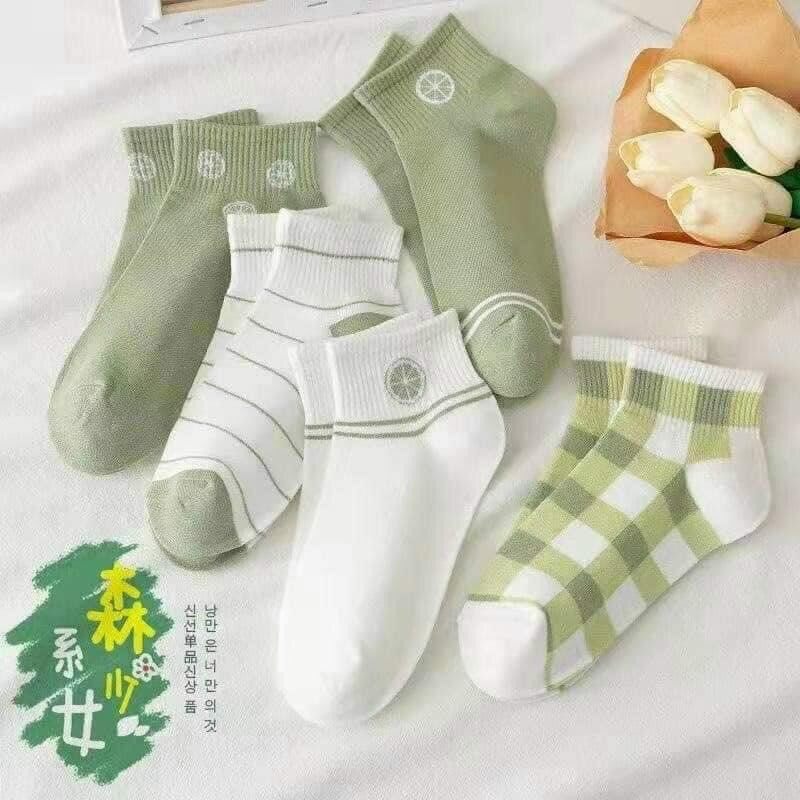 Sét 5 đôi tất - Vớ nữ cổ ngắn phong cách Hàn Quốc