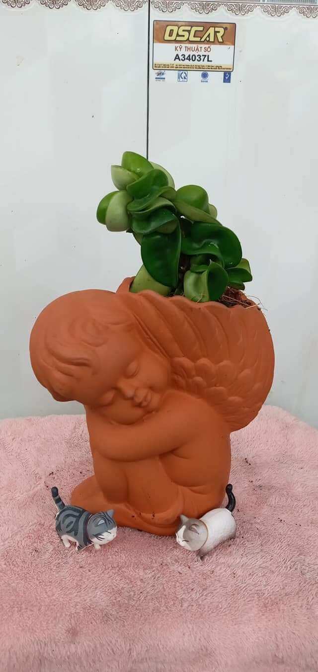 Chậu đất nung Bình Dương dáng thiên thần