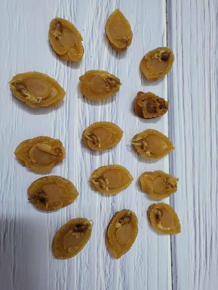 Bào ngư khô mini 100gr