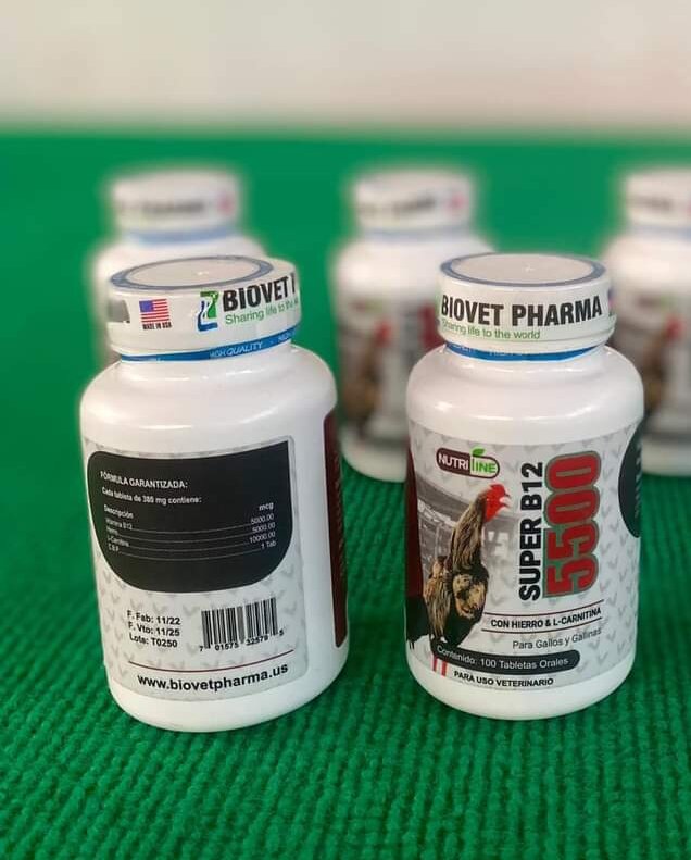 Super B12-5500 hừng gà tốt cho gà