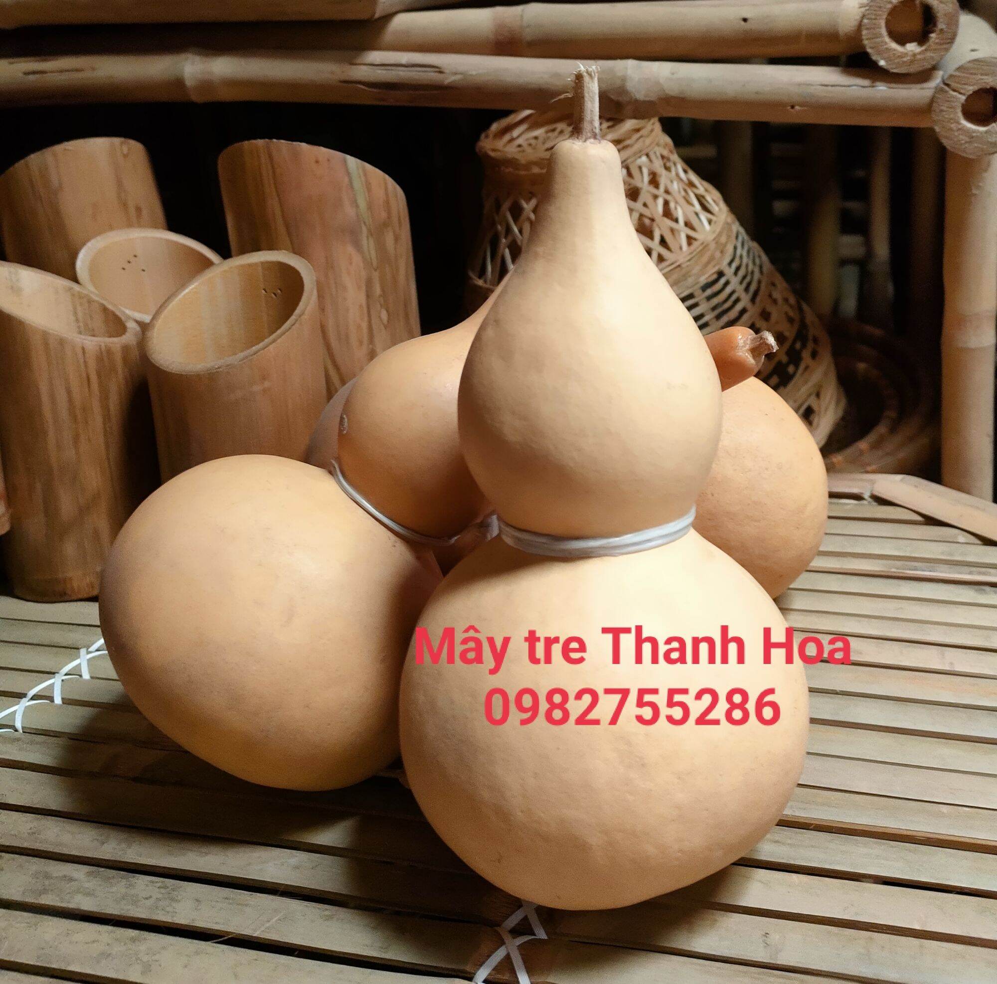 bầu hồ lô [20cm]
