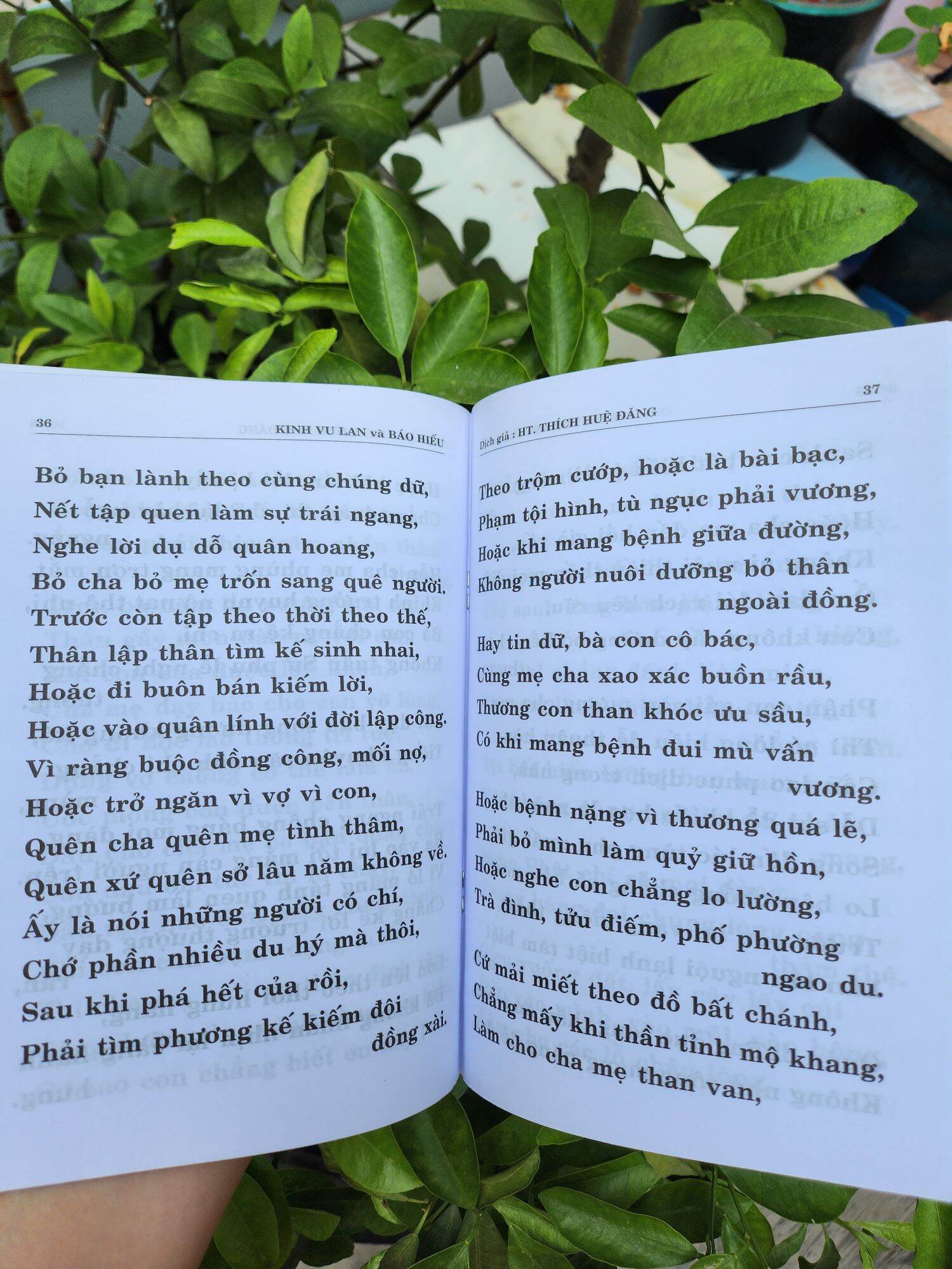 Quyển Kinh Vu lan và Báo Hiếu