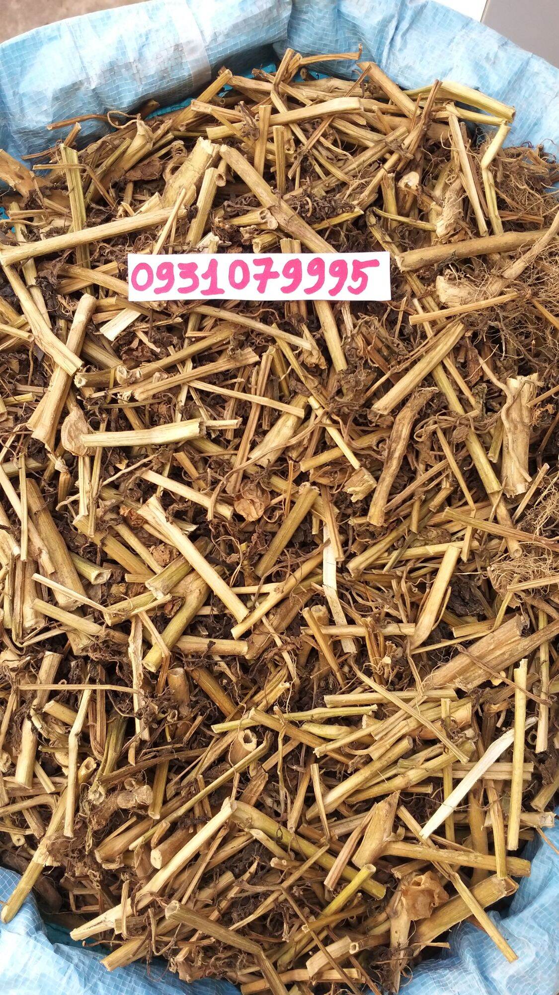 cây tầm bóp - cây thù lù phơi khô 1kg