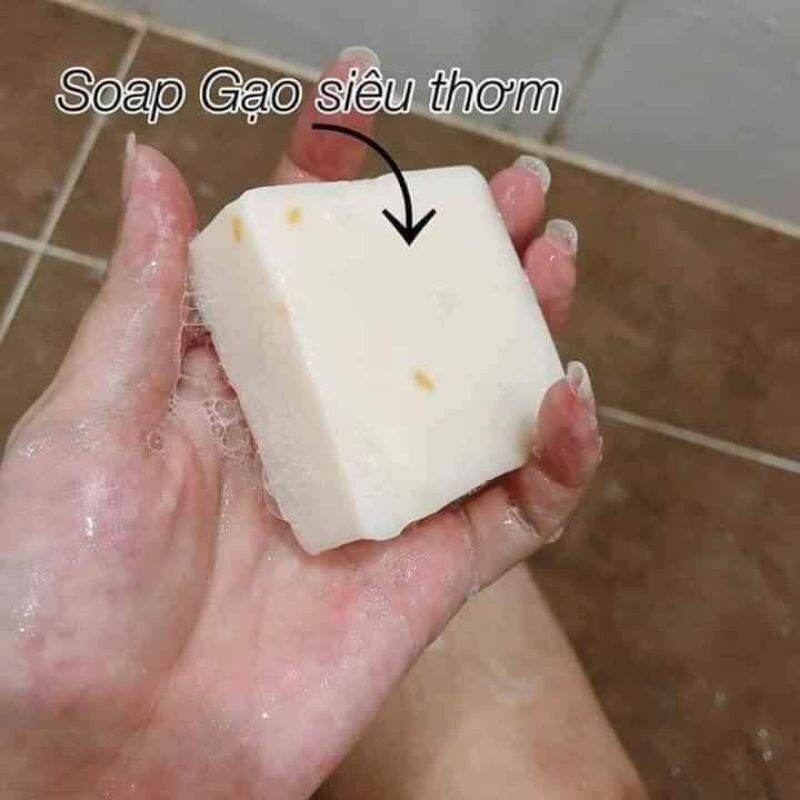 [HCM]XÀ BÔNG CÁM GẠO