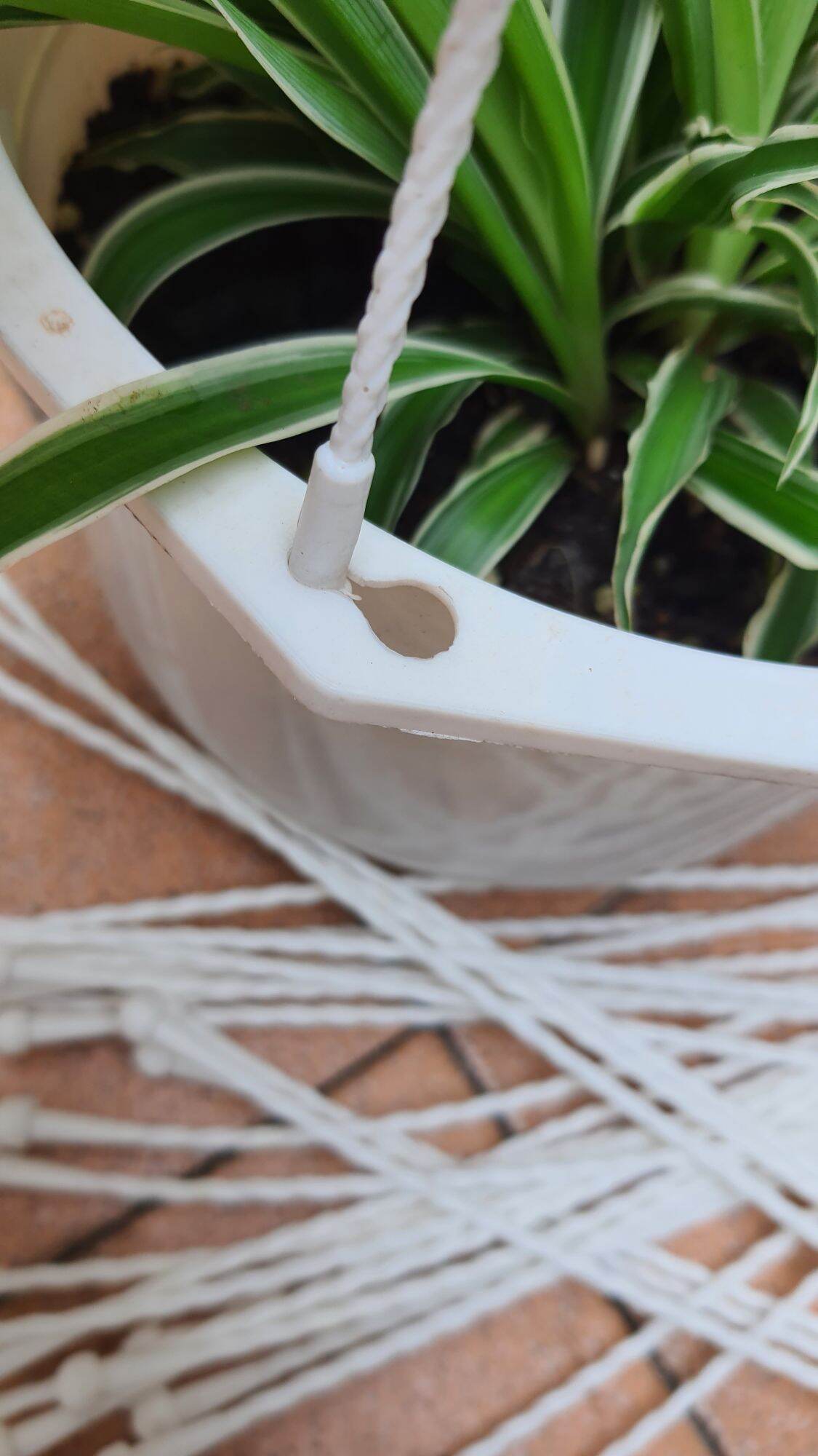 móc treo chậu nhựa