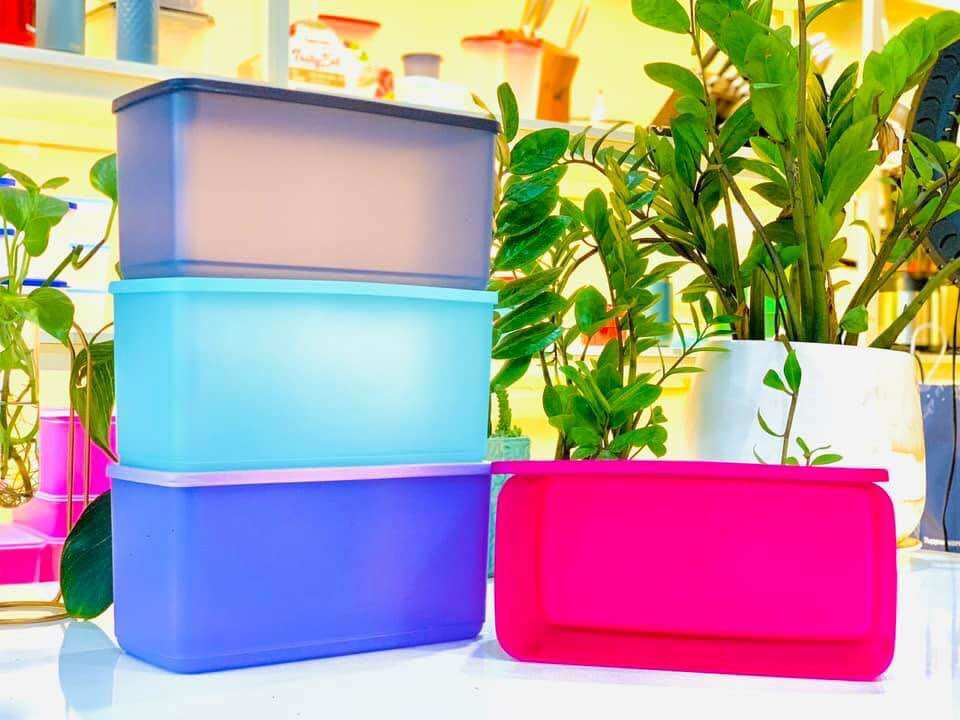 Bộ hộp trữ mát funtastic 3.1l