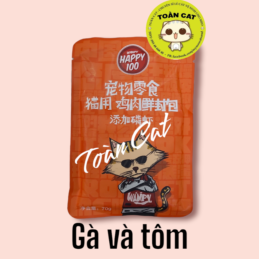 Combo 12 gói pate wanpy happy 100 cho mèo gói 70g- pate cho mèo