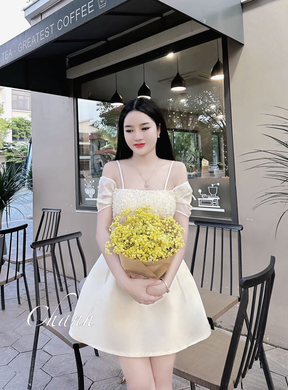 Váy tafta 2 dây phối ren cực sang D002