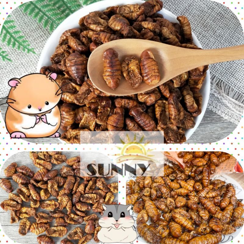 Nhộng sấy cho hamster, sóc