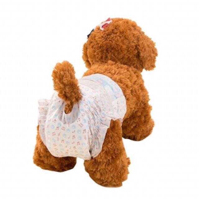 [HCM]Tả dành cho Cún & Mèo ( Đực& Cái từ 2kg~30kg)