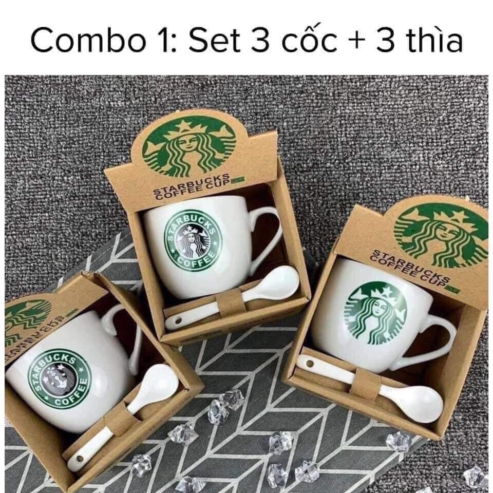 Set 3 ly sứ starbuck