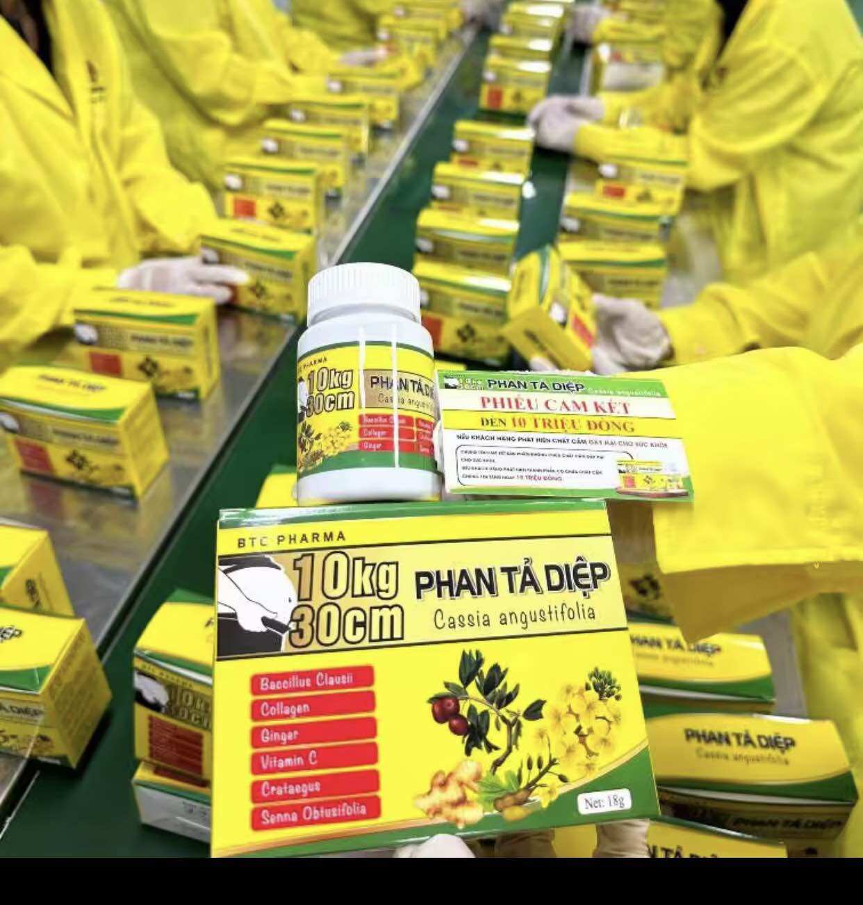 GIẢM CÂN XỔ MỠ PHAN TẢ DIỆP