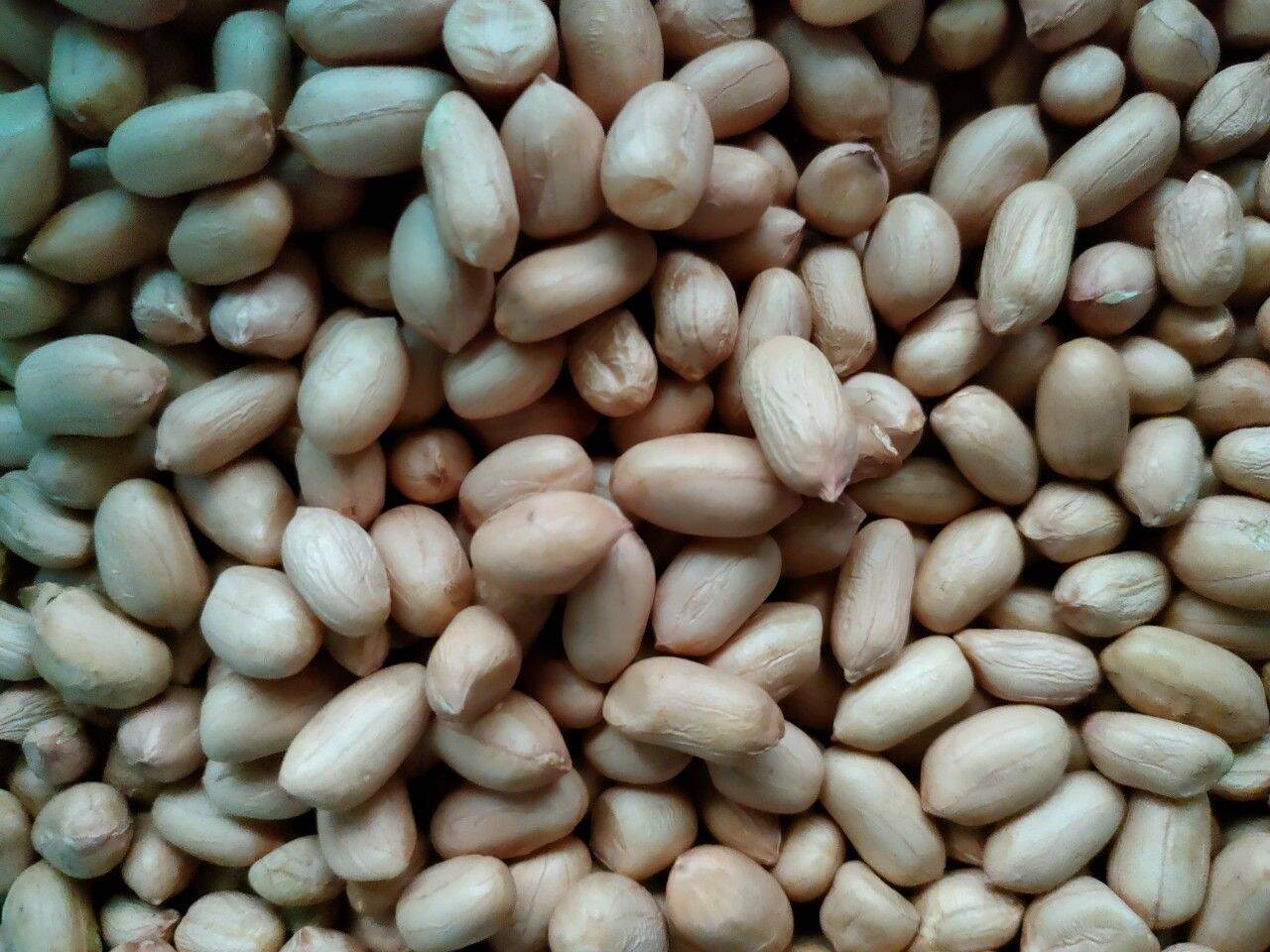 ĐẬU PHỘNG 1KG