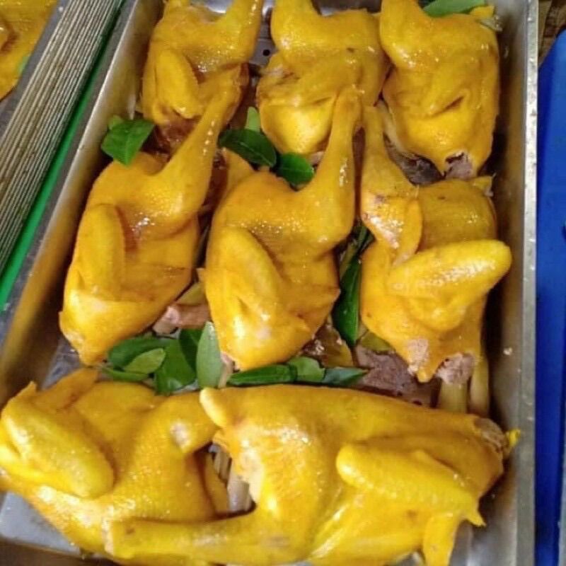 1 con GÀ ủ muối hoa tiêu (2khay, ăn liền)