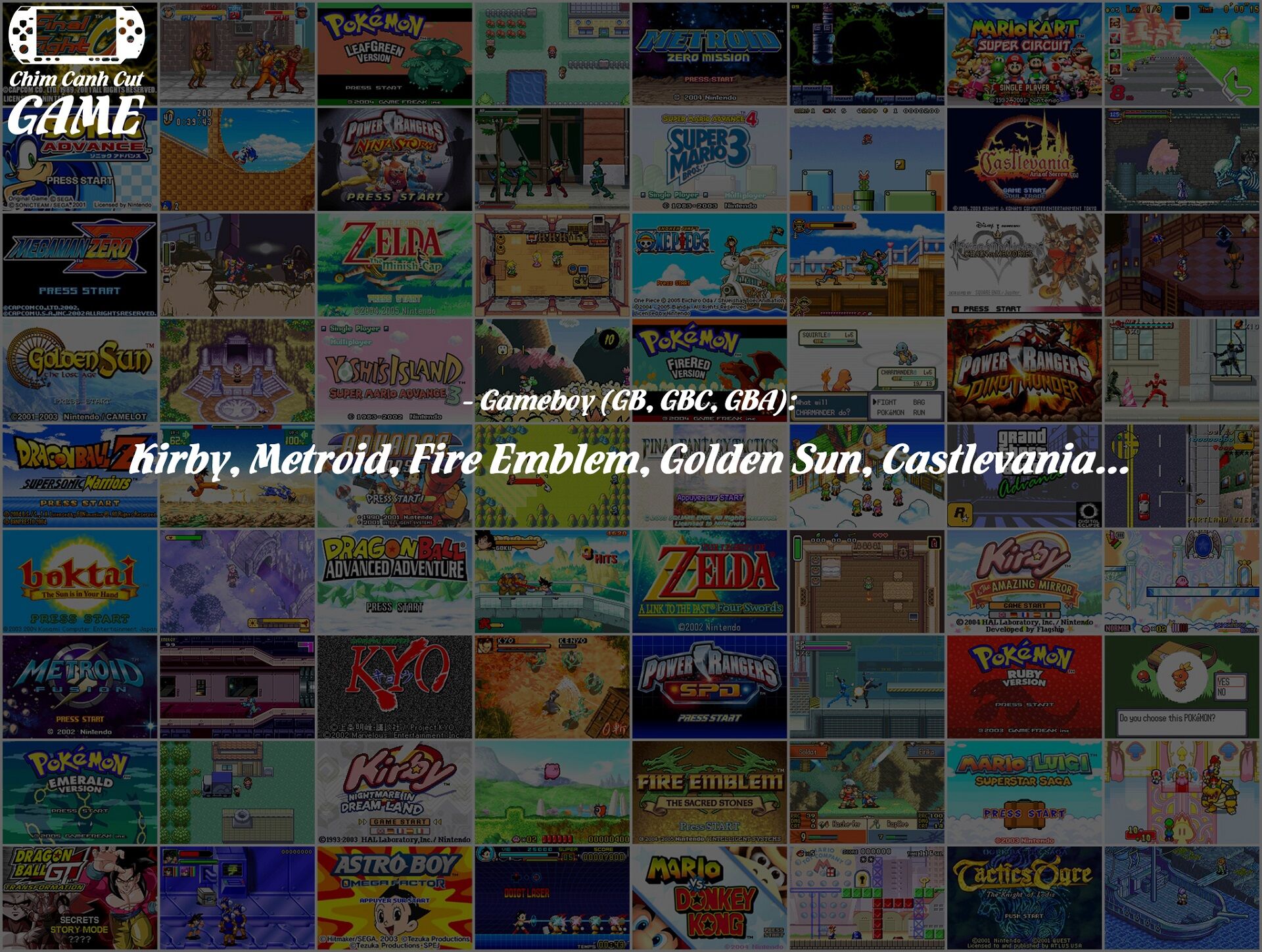 Thẻ nhớ cho máy Nintendo DSi (Hỗ trợ cài Twilight + Copy Game Free)
