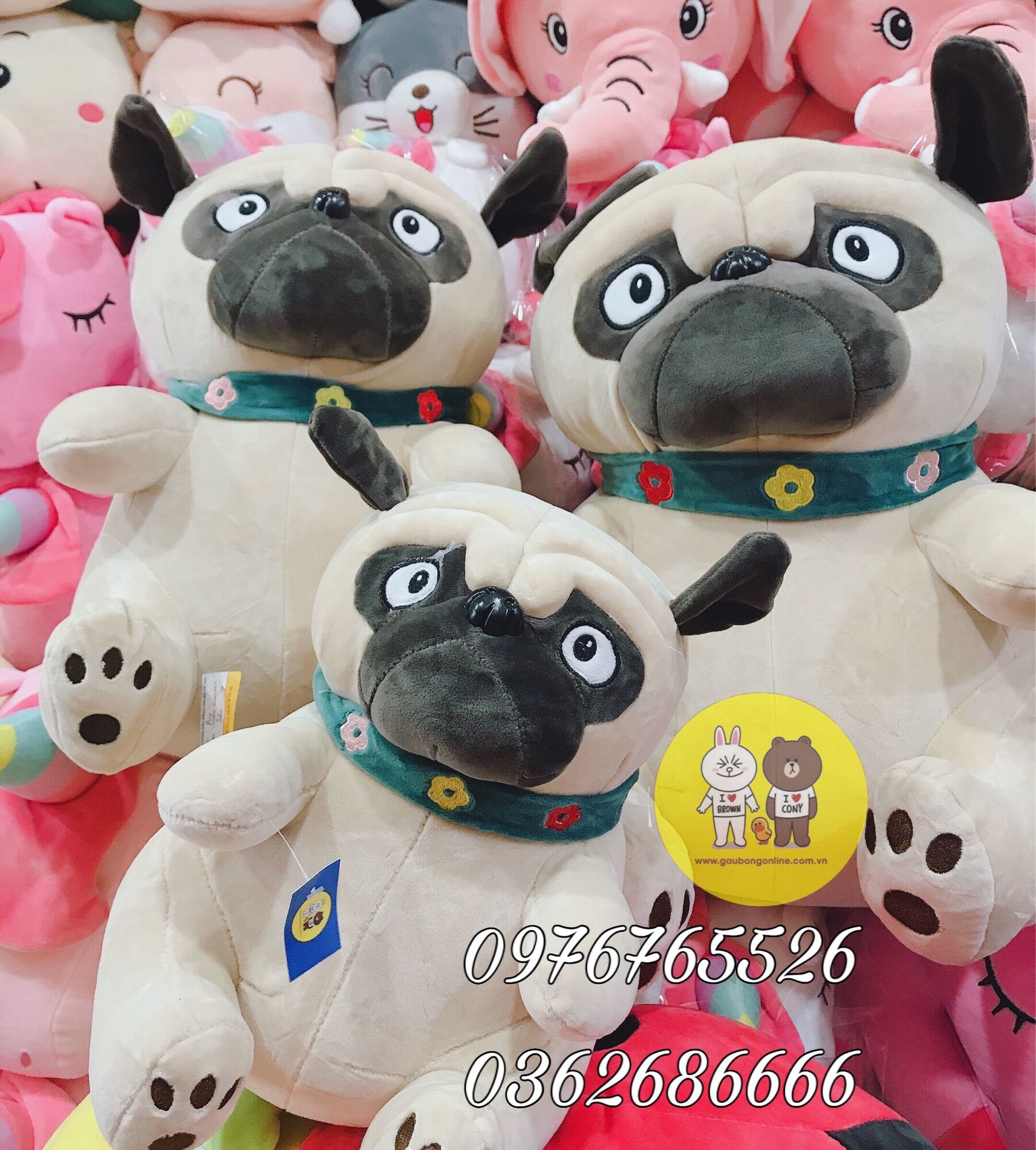 Gấu bông chó Pug mặt nhăn kích thước 40cm hàng cao cấp