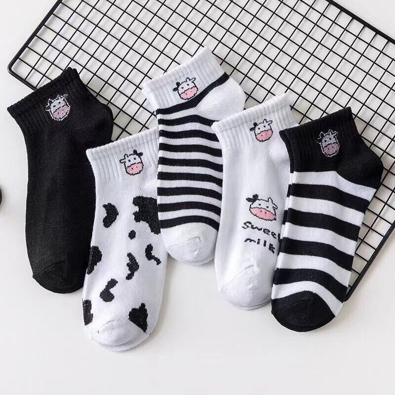 Combo 5 đôi tất, vớ nữ cổ ngắn nhiều kiểu xinh