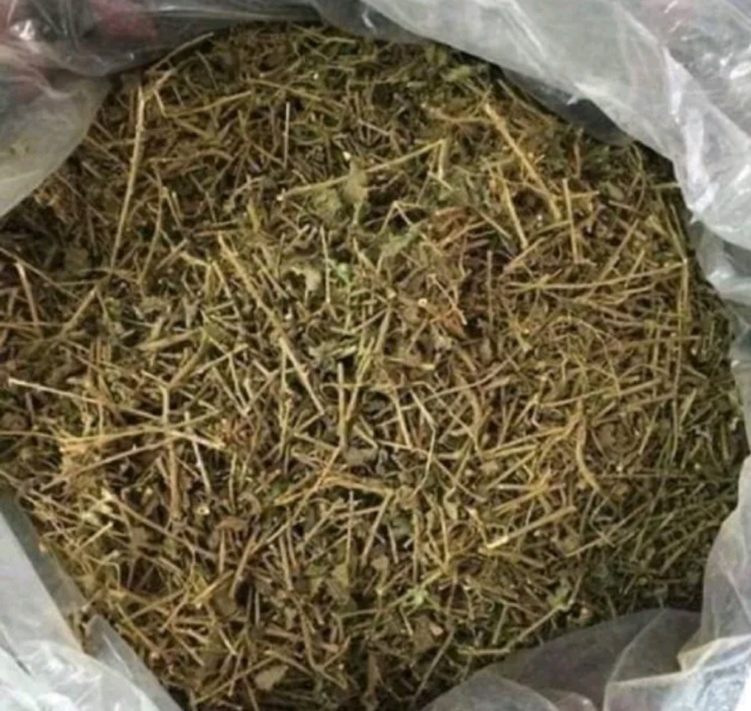 Cà gai leo, cà gai leo khô Hòa Bình ( 1Kg) mát gan