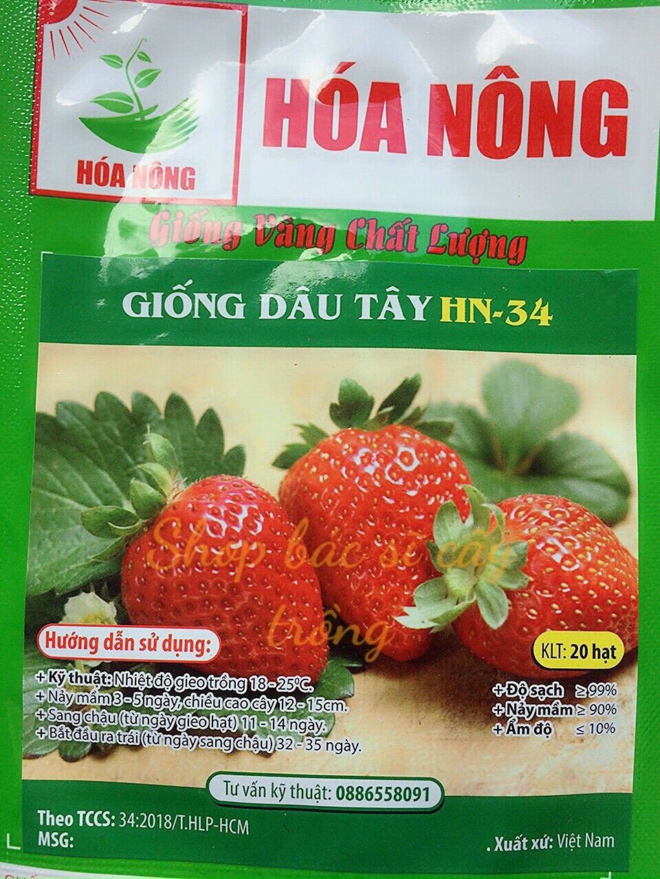 20 hạt giống dâu tây dễ trồng