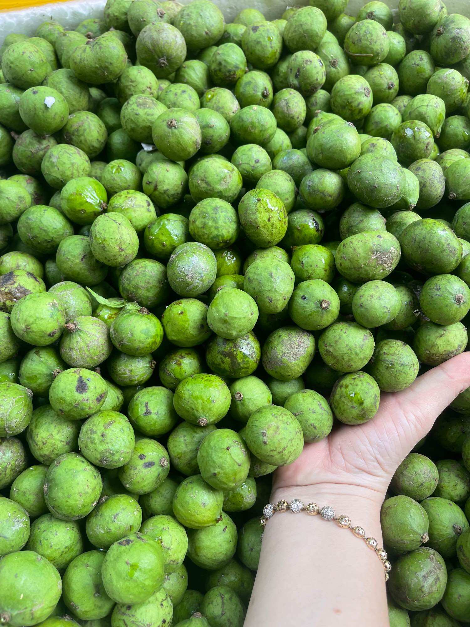 3kg Sấu tươi còn vỏ - chuẩn Hà Nội